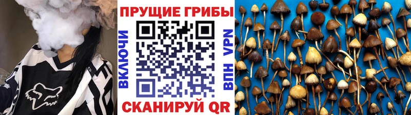 Галлюциногенные грибы MAGIC MUSHROOMS  Кемь 